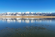 千山万物栖——新疆阿尔金山生态保护实践观察